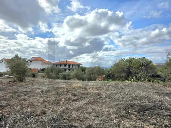 Terreno para Venda em Carregueira Foto 6