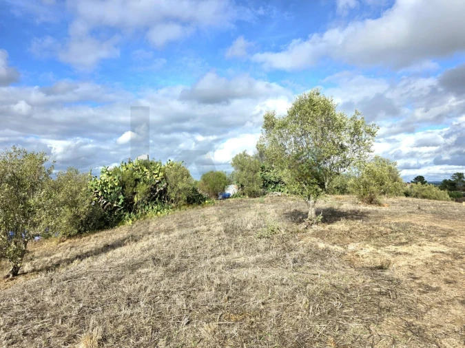 Terreno para Venda em Carregueira Foto 4