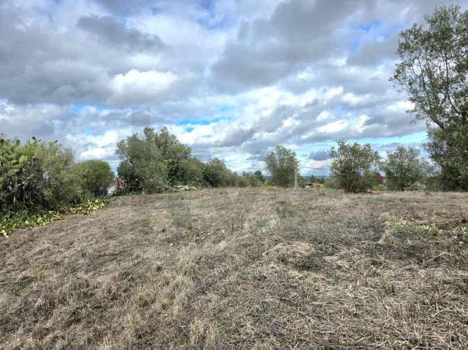 Terreno para Venda em Carregueira Foto 7