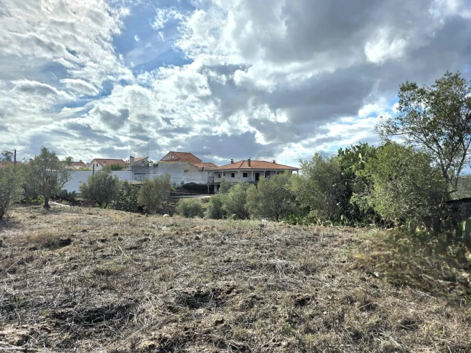 Terreno para Venda em Carregueira Foto 12