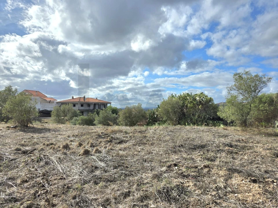Terreno para Venda em Carregueira Foto 13
