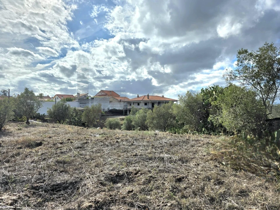 Terreno para Venda em Carregueira Foto 12