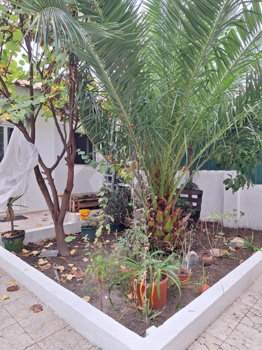 Apartamento T2 para Venda em Alfragide Foto 3