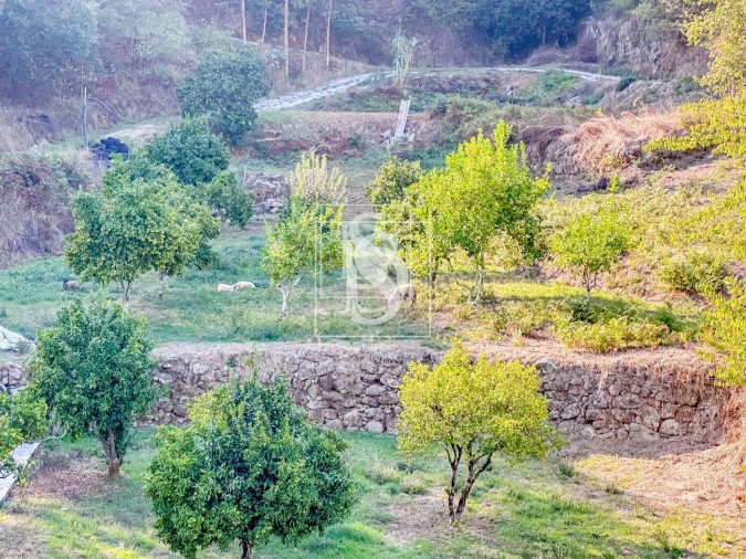 Apartamento T4 para Venda em Santa Cruz do Douro e São Tomé de Covelas Foto 41