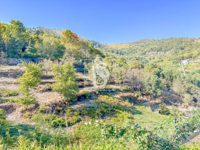 Apartamento T4 para Venda em Santa Cruz do Douro e São Tomé de Covelas Foto 21