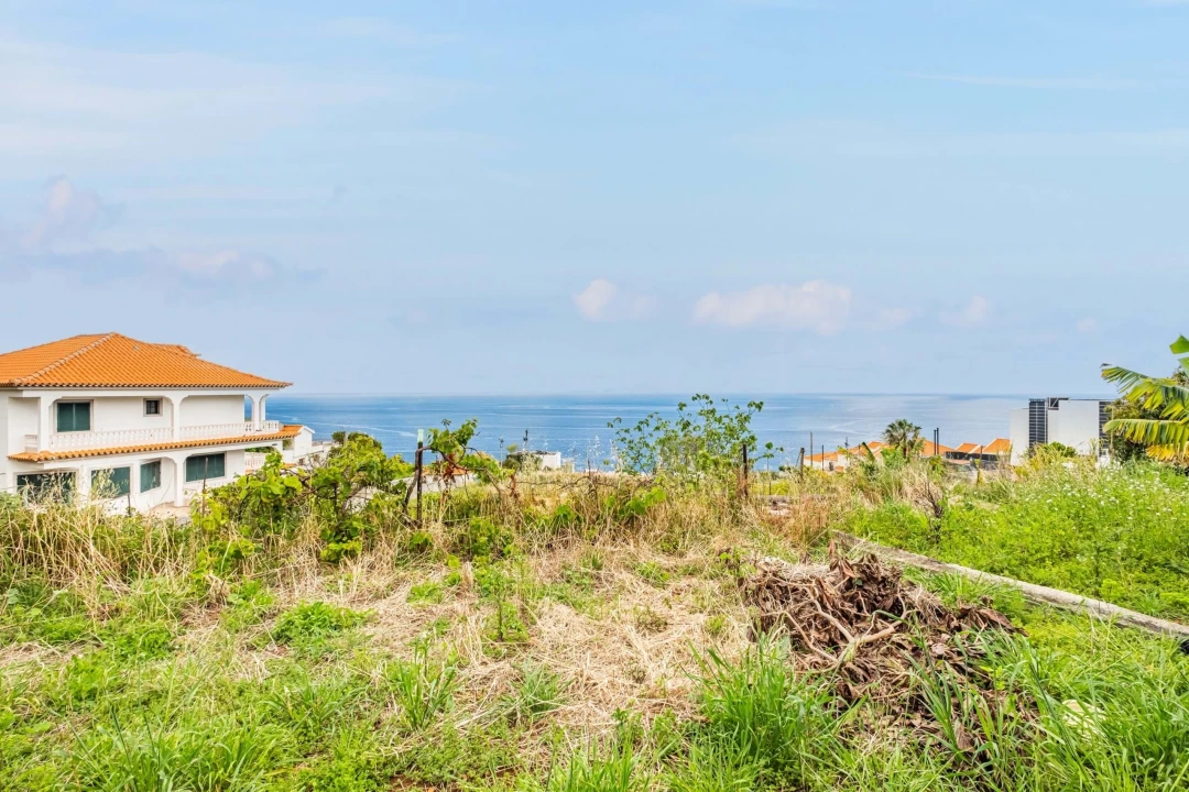 Terreno para Venda em Gaula Foto 2