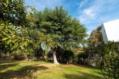 Moradia T4 para Venda em Loule (São Clemente)