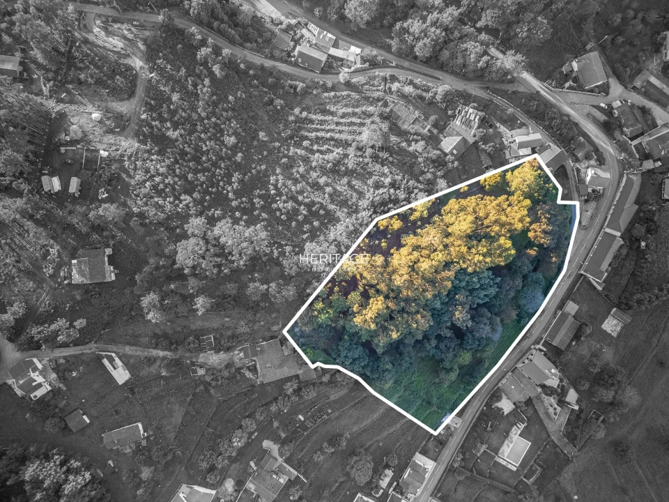 Moradia para Venda em Durrães e Tregosa Foto 1