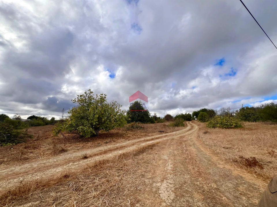 Terreno Agricola ou Rústico para Venda em Luz de Tavira e Santo Estêvão Foto 10