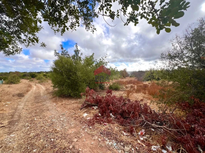 Terreno Agricola ou Rústico para Venda em Luz de Tavira e Santo Estêvão Foto 11