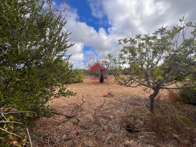 Terreno Agricola ou Rústico para Venda em Luz de Tavira e Santo Estêvão Foto 6