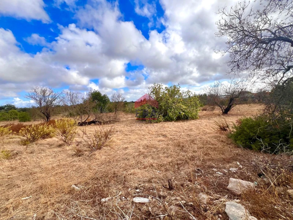 Terreno Agricola ou Rústico para Venda em Luz de Tavira e Santo Estêvão Foto 7