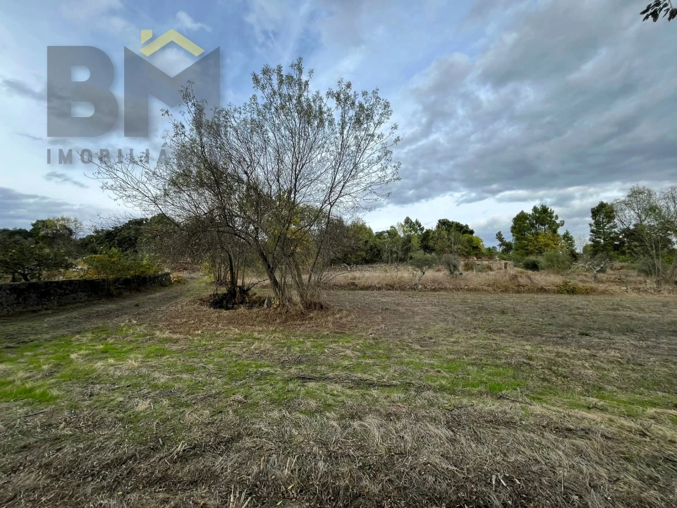 Quinta T0 para Venda em Póvoa de Rio de Moinhos e Cafede Foto 5