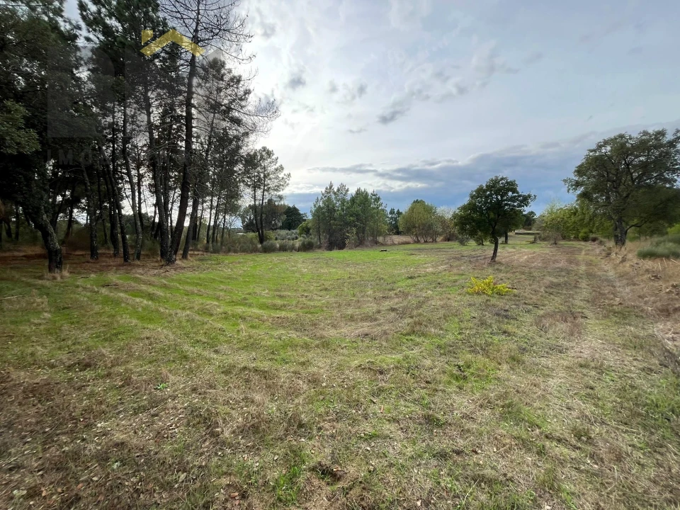 Quinta T0 para Venda em Póvoa de Rio de Moinhos e Cafede Foto 8