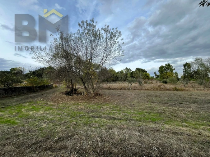 Quinta T0 para Venda em Póvoa de Rio de Moinhos e Cafede Foto 5