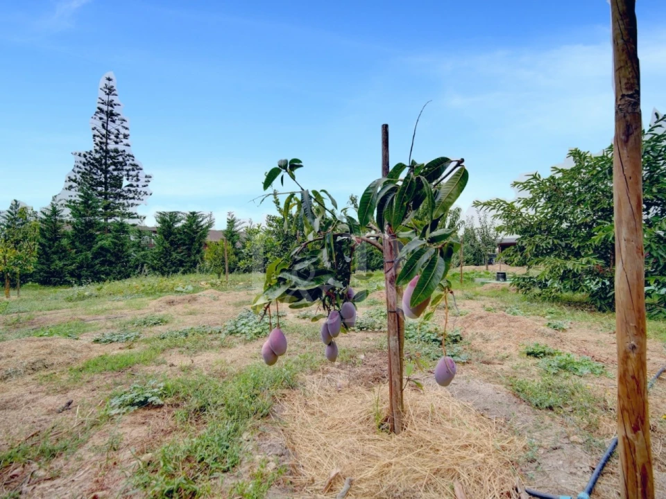 Moradia T3 para Venda em Sarilhos Grandes Foto 51