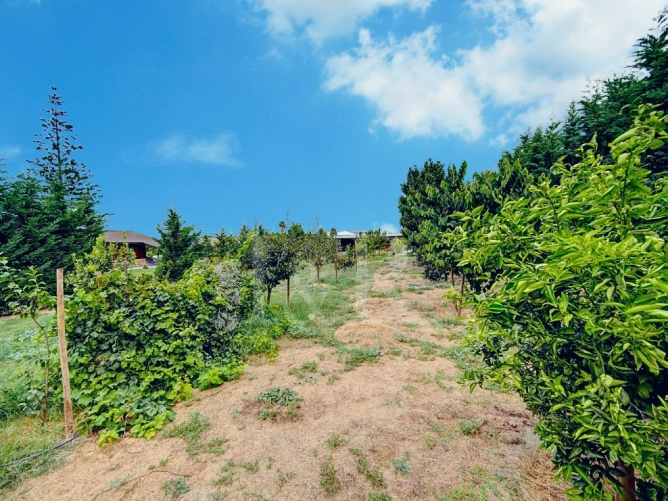 Moradia T3 para Venda em Sarilhos Grandes Foto 52