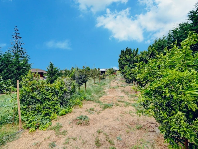 Moradia T3 para Venda em Sarilhos Grandes Foto 52