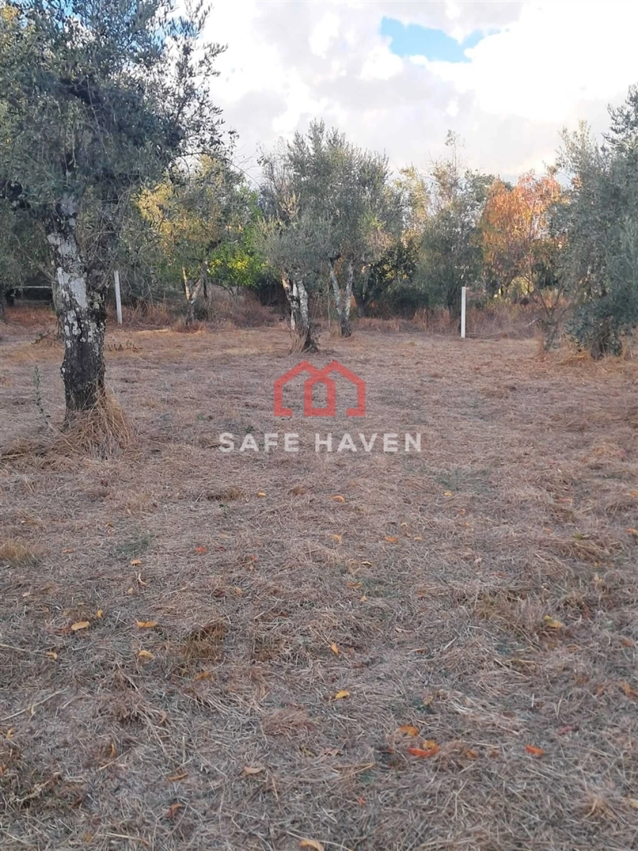 Moradia T3 para Venda em Tourais e Lajes Foto 21