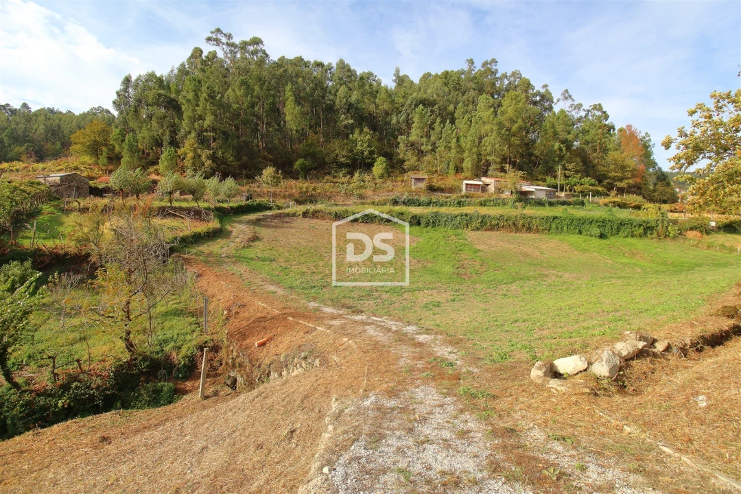 Terreno para Venda em Souselo Foto 3
