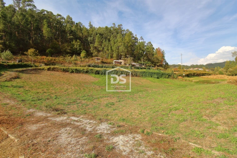 Terreno para Venda em Souselo Foto 4