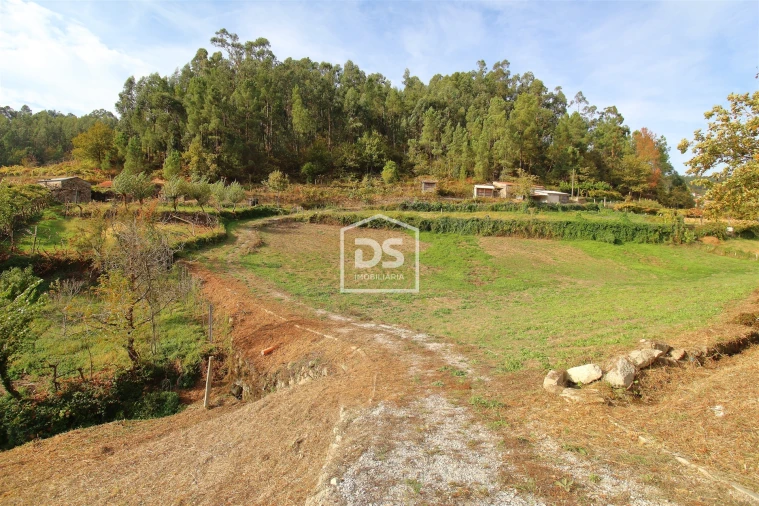 Terreno para Venda em Souselo Foto 3