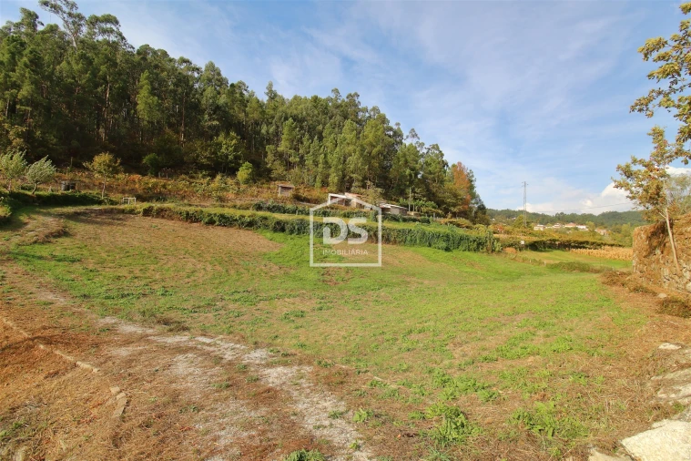 Terreno para Venda em Souselo Foto 1