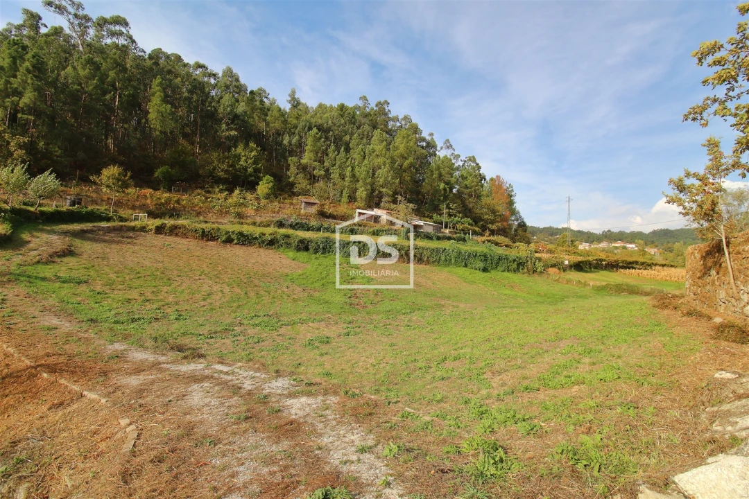 Terreno para Venda em Souselo Foto 1