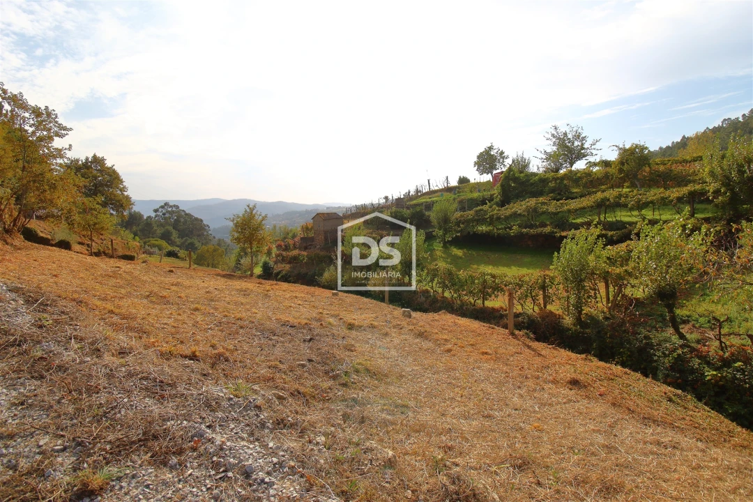 Terreno para Venda em Souselo Foto 11