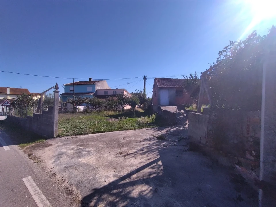 Armazém para Venda em Almagreira Foto 4