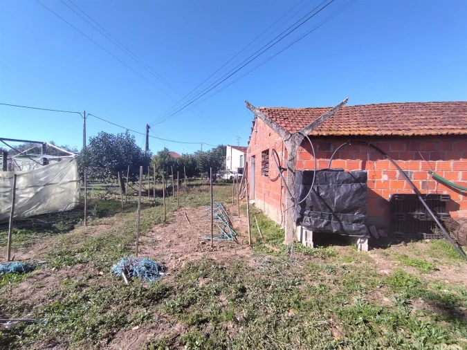 Armazém para Venda em Almagreira Foto 2