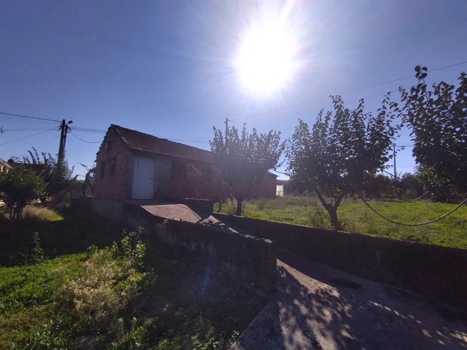 Armazém para Venda em Almagreira Foto 5