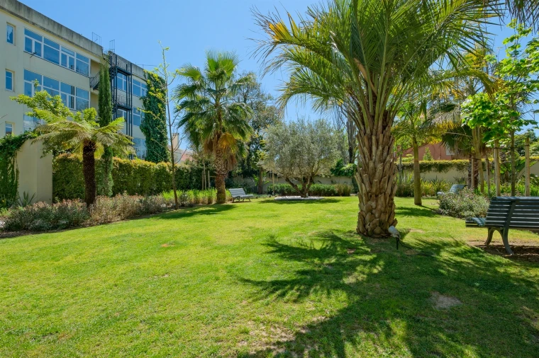 Apartamento T3 para Venda em Santo António Foto 3