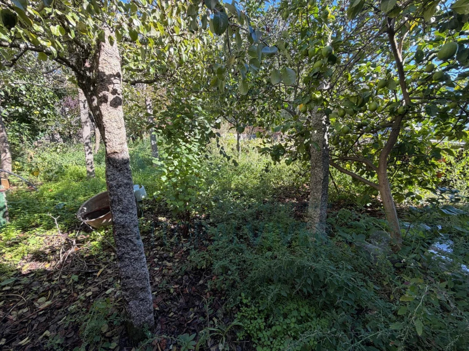 Quinta T2 para Venda em Cristelo Foto 3