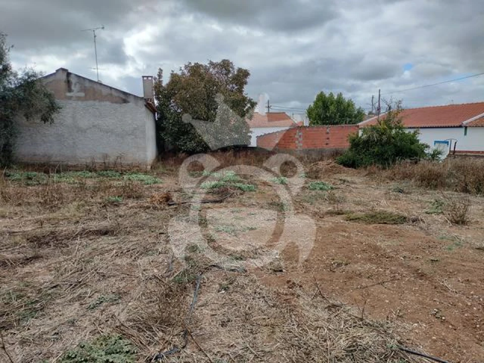 Quinta T3 para Venda em Montoito Foto 14