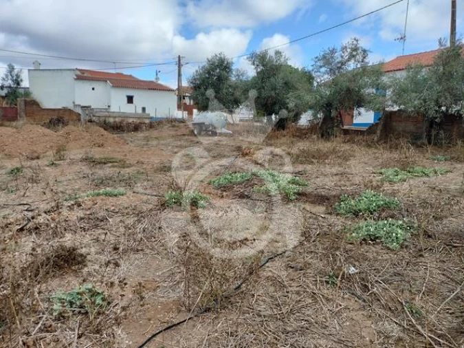 Quinta T3 para Venda em Montoito Foto 18