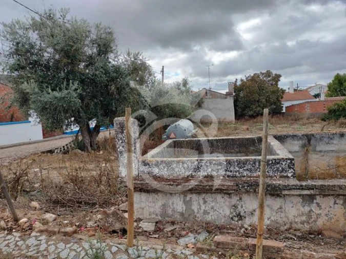 Quinta T3 para Venda em Montoito Foto 9