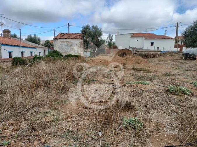 Quinta T3 para Venda em Montoito Foto 17