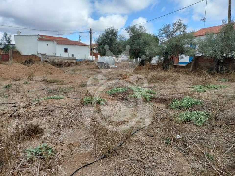 Quinta T3 para Venda em Montoito Foto 18