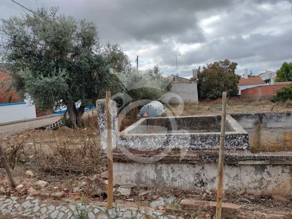 Quinta T3 para Venda em Montoito Foto 9