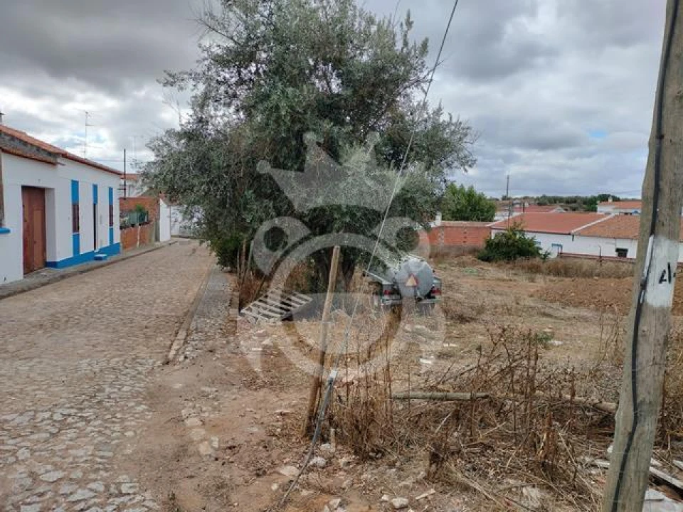 Quinta T3 para Venda em Montoito Foto 10