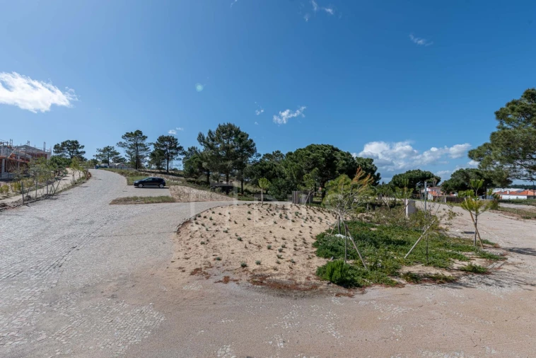 Terreno para Venda em Comporta Foto 5