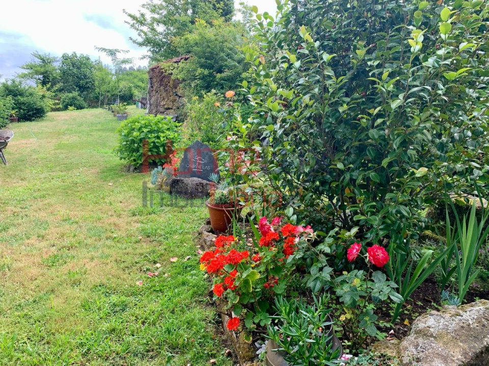 Terreno para Venda em Macieira de Cambra Foto 9