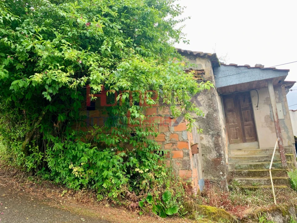 Terreno para Venda em Macieira de Cambra Foto 2
