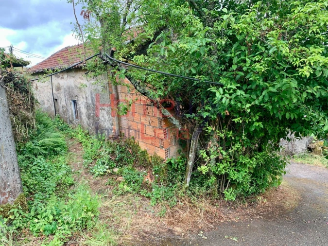 Terreno para Venda em Macieira de Cambra Foto 5