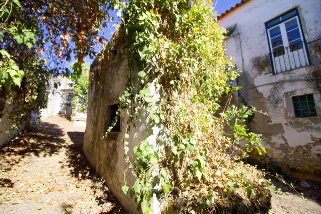 Moradia T7 para Venda em Cabeço de Vide Foto 30