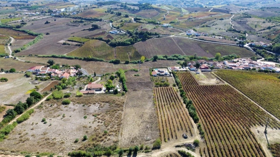 Terreno para Venda em Carvoeira e Carmões Foto 3