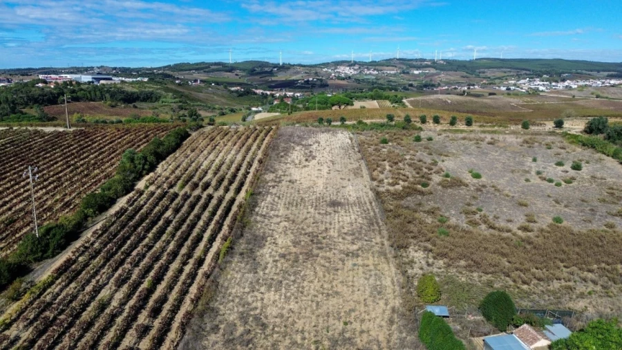 Terreno para Venda em Carvoeira e Carmões Foto 6