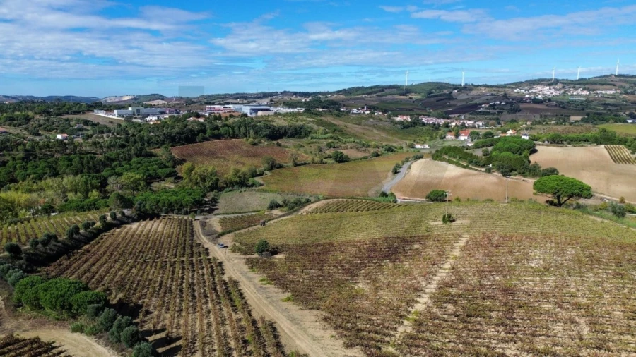 Terreno para Venda em Carvoeira e Carmões Foto 11