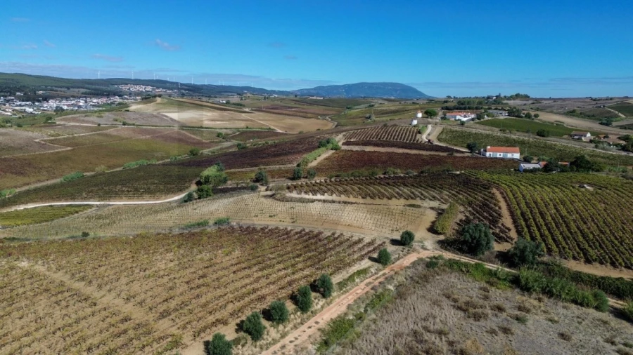 Terreno para Venda em Carvoeira e Carmões Foto 12